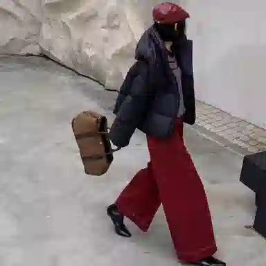 柏黛妃 纯色宽松连帽立领长袖棉服 女款