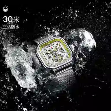 Dickies Skeleton Mechanical Watch