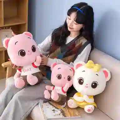 30cm40cm