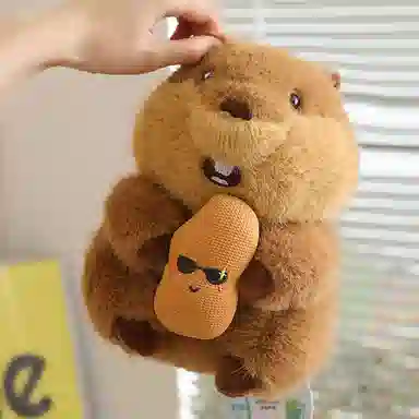 22cm32cm