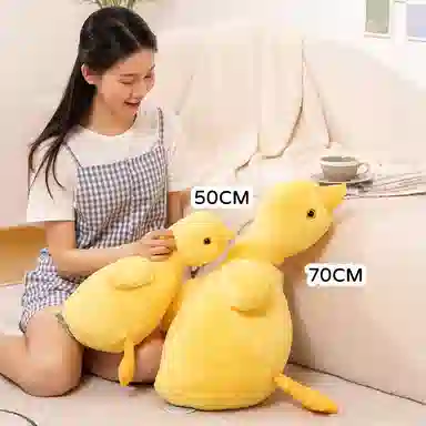 50cm70cm