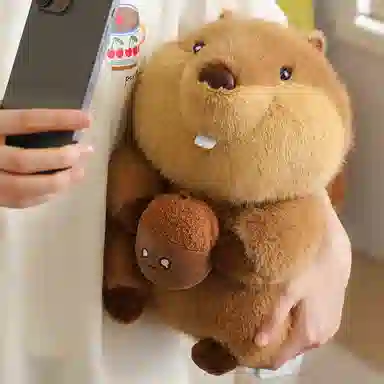 22cm32cm