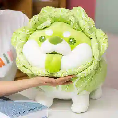 x dodowo