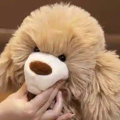 赛特嘟嘟 长毛泰迪犬 仿真抱枕 玩偶 毛绒公仔