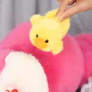 C HOHO 20cm25cm30cm35cm50cm