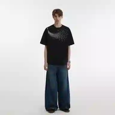 EDRPIUS T