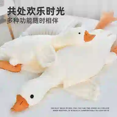 50cm90cm130cm160cm190cm