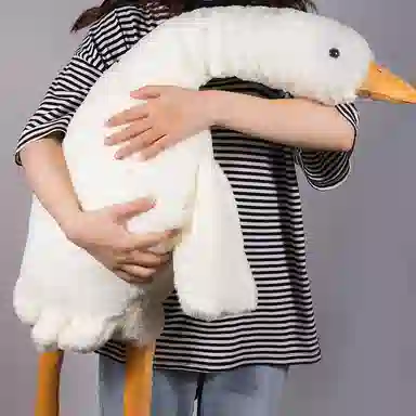 50cm90cm130cm160cm190cm