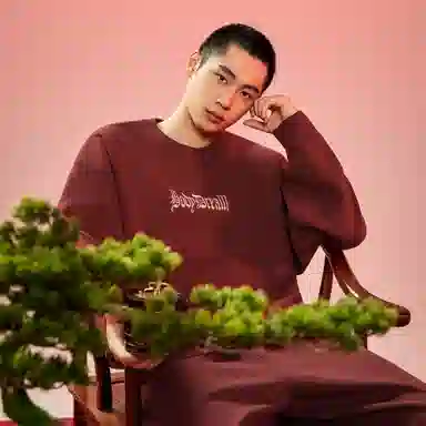 bodydream