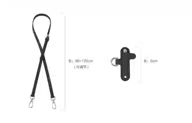 Longchamp Mini Crossbody