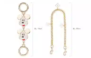 Disney COACH Rowan 22 diy