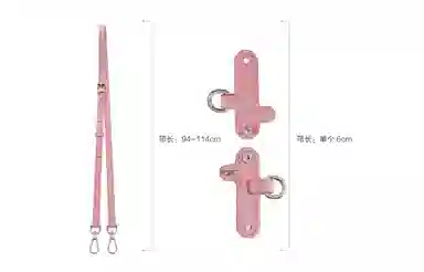 Longchamp Mini Bag Strap Set