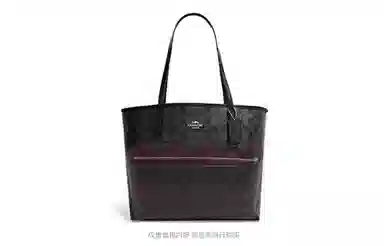 COACHctiy3330Tote
