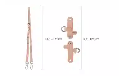 Longchamp Mini Bag Strap Set