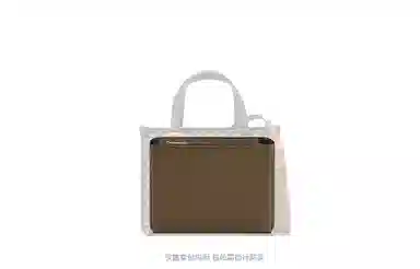 Lanbaofan TB Monogram Mini Tote