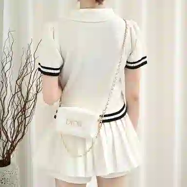 DIOR diy