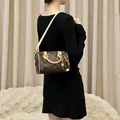 LOUIS VUITTON Speedy 20