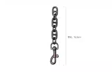 COACH Studio 20 Baguette