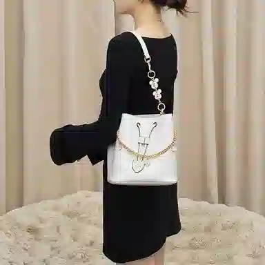 Disney COACH Rowan 22 diy