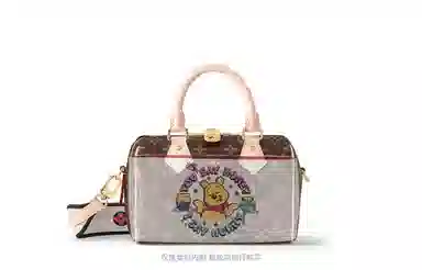 LOUIS VUITTON Speedy 20