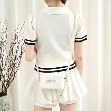 DIOR diy