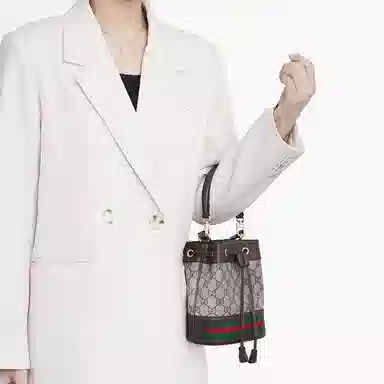 gucciOphidia