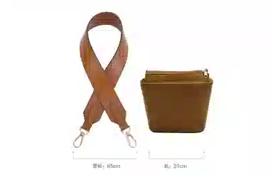 CELINE Triomphe Brown