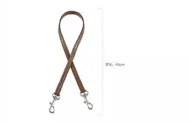 miniDempsey DIY COACH