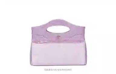 chanel31bagNano mini