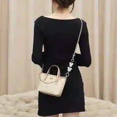 Disney COACH city15 diy