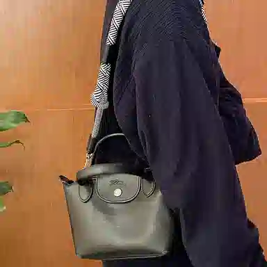 Longchamp Mini