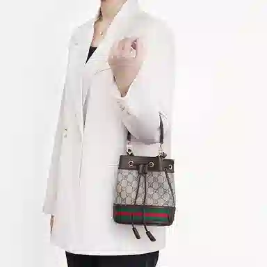 gucciOphidia