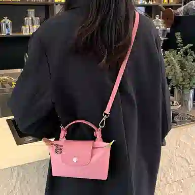 Longchamp Mini Bag Strap Set