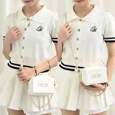 DIOR diy