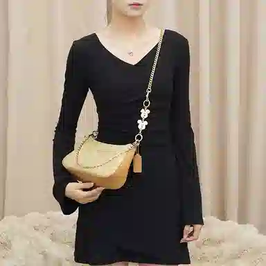 Disney COACH Teri 24diy