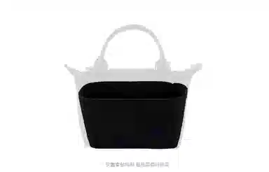 Longchamp Mini