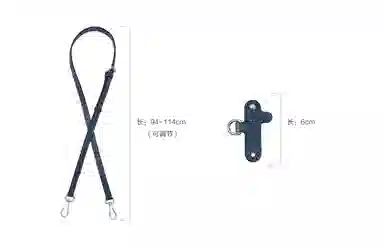 Longchamp Mini Crossbody