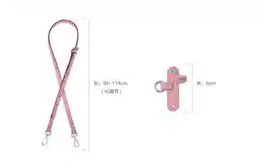 Longchamp Mini Crossbody