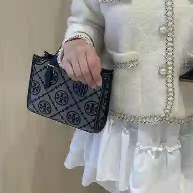 Lanbaofan TB Monogram Mini Tote