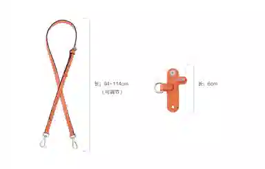 Longchamp Mini Crossbody