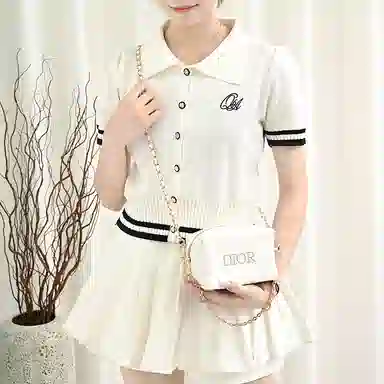 DIOR diy