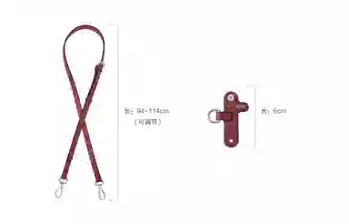 Longchamp Mini Crossbody