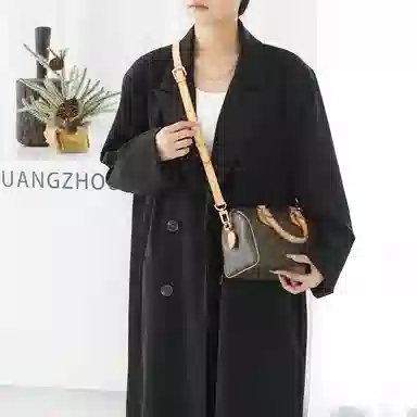 LOUIS VUITTON Speedy 20