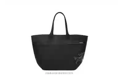 Arcteryx45LCARRIER 45