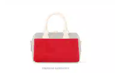 LOUIS VUITTON Speedy 20