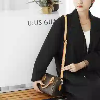 LOUIS VUITTON Speedy 20