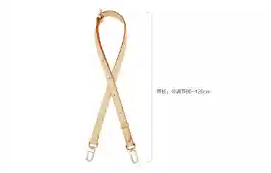 LOUIS VUITTON Speedy 20