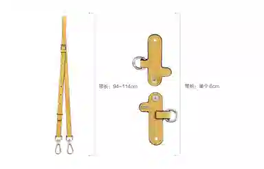 Longchamp Mini Bag Strap Set