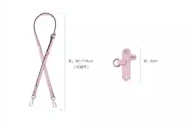 Longchamp Mini Crossbody