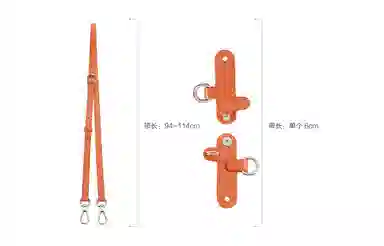 Longchamp Mini Bag Strap Set